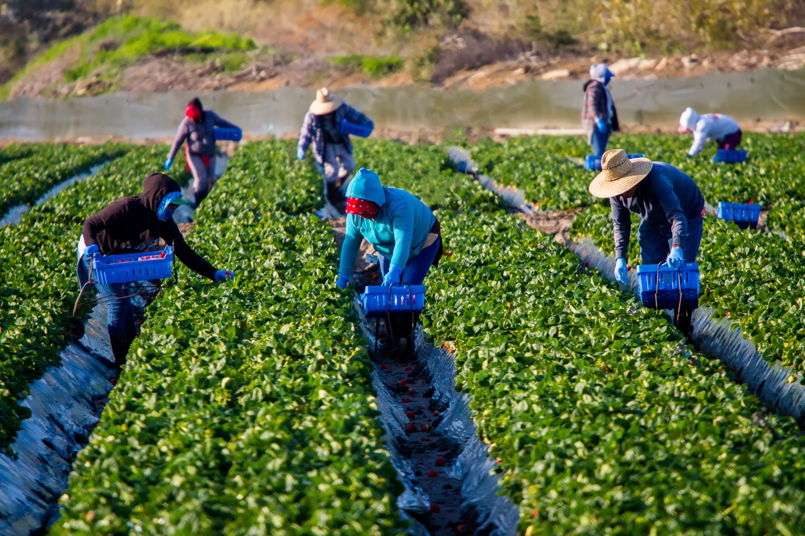 Understanding Eligible Abuse Examples Under Open Work Permits for Vulnerable Workers 