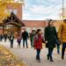Newcomer parents walking elementary children along autumn birch sidewalk toward brick public school in the Prairies