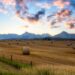 cap nhat ve dinh cu tai alberta tam dung chuong trinh alberta opportunity stream