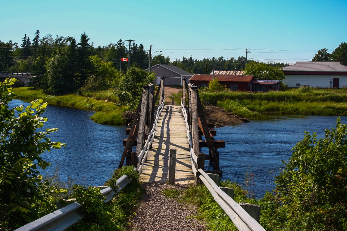 New Brunswick công bố chương trình định cư thí điểm cho du học sinh tốt nghiệp trường tư